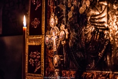 IMG2237-topaz-denoise