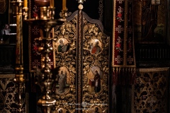 MAN01431-topaz-denoise-faceai